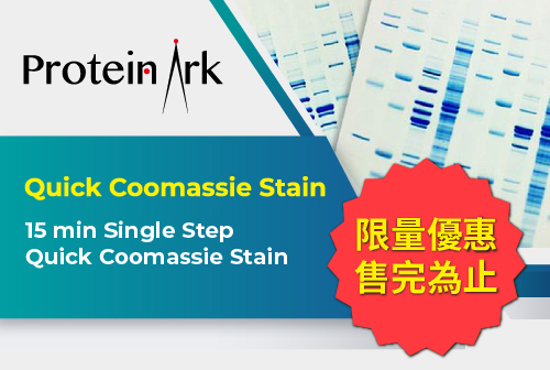 【ProteinArk】Quick Coomassie Stain 限量優惠