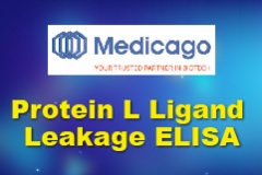【Medicago】Protein L Ligand Leakage ELISA