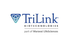 TriLink｜研究聚焦：mRNAs 有助於 NK 細胞免疫療法在急性骨髓性白血病小鼠的正向成效