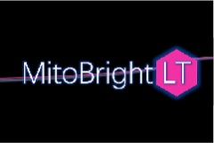 【Dojindo】MitoBright LT