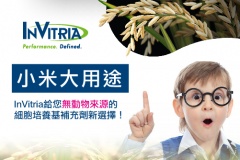 【InVitria】小米大用途 - InVitria給您無動物來源的細胞培養基補充劑新選擇！