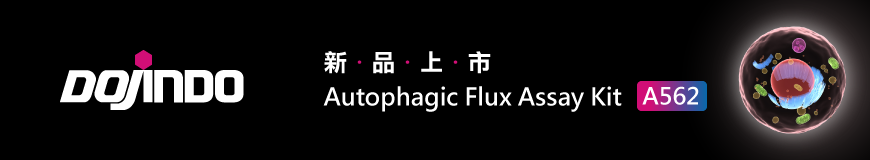 Dojindo｜新品上市 ── Autophagic Flux Assay Kit [A562]