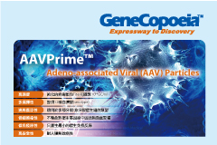 【捷昇】 GeneCopoeia AAVPrime™腺相關病毒(AAV)產品訂製服務上線了！