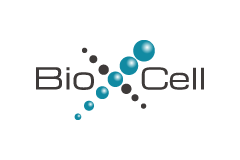 Bio X Cell｜研究聚焦：FcγRs 調節抗 PD-1/PD-L1 抗體的抗腫瘤活性