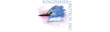 代理-Kingfisher Biotech-多物種基因重組蛋白