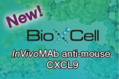 【捷昇】Bio X Cell InVivoMAb™ anti-mouse CXCL9; clone MIG-2F5.5新品上市