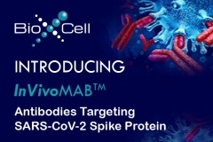 【NEWS】Bio X Cell加入全球對抗COVID-19 的行列