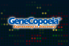 GeneCopoeia｜掌中實驗室 ── OmicsArray™ Antigen Microarray 抗原微陣列