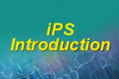 iPS Introduction