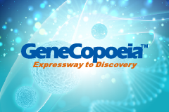 【GeneCopoeia】刊登於《Science》！ OmicsLink™ ORF expression clone 助力解密 T 細胞休眠關鍵